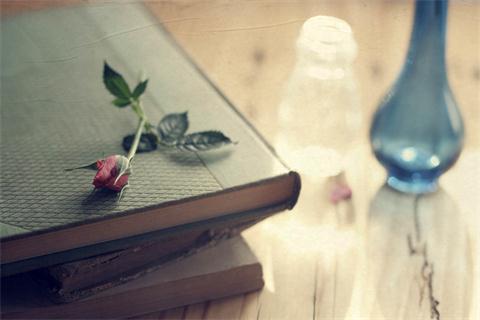 2020年上海浦東新區遠程教育專升本報名條件