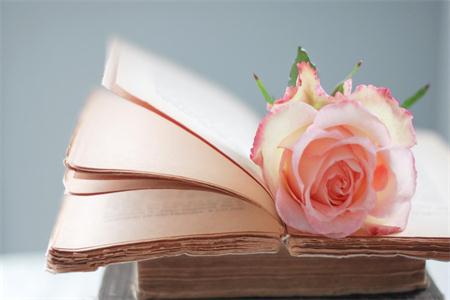 上海靜安區(qū)統(tǒng)招專升本第一學歷是什么?