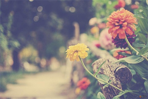 上海浦東新區統招專升本報名流程