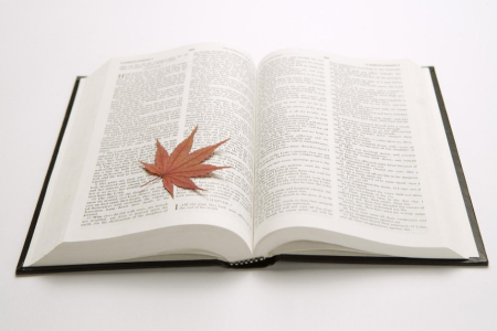 上海遠程教育專升本復習小妙招