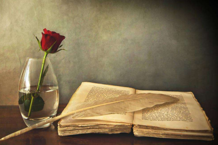 上海普陀區成考專升本漢語言文學專業怎么樣