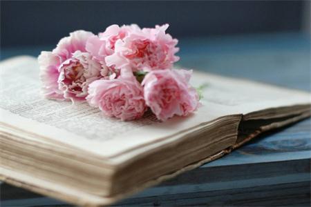 上海有哪些成人學(xué)校?